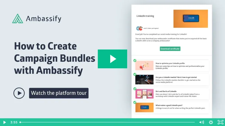 Campaign bundles